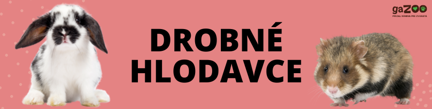 Blog o drobných hlodavcoch